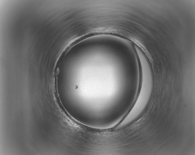 X0000052980992200507151823