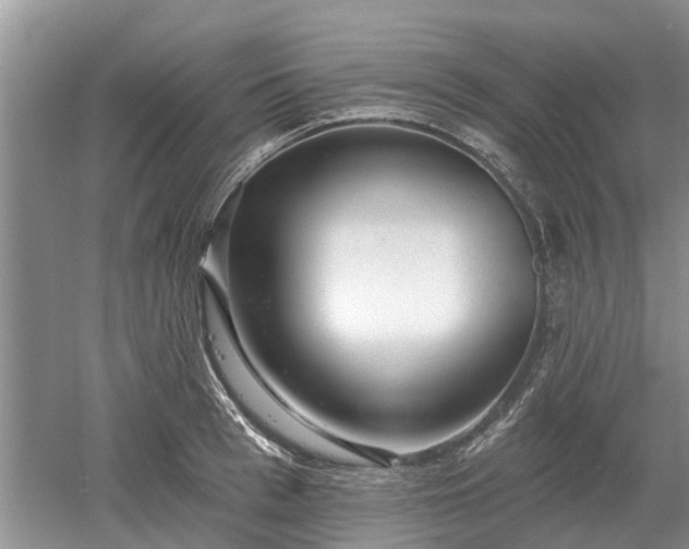 X0000052980993200507151823