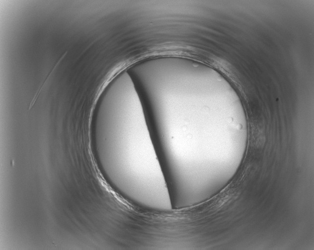 X0000052980994200507151823