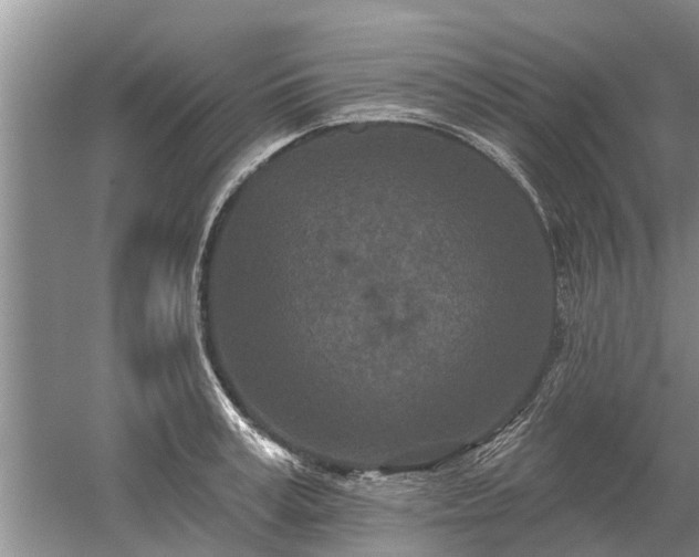 X0000052980995200507151823