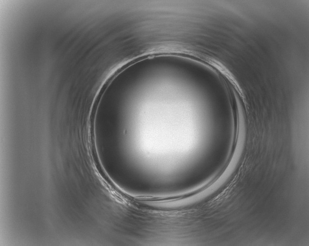 X0000052980996200507151823