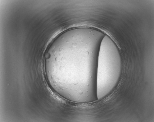 X0000052980998200507151823