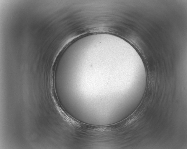 X0000052981000200507151823