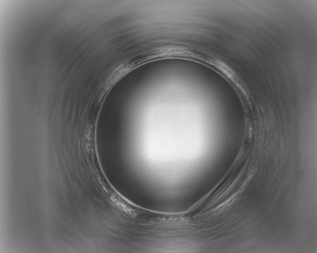 X0000052981001200507151823