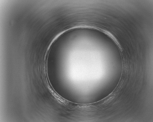 X0000052981004200507151823