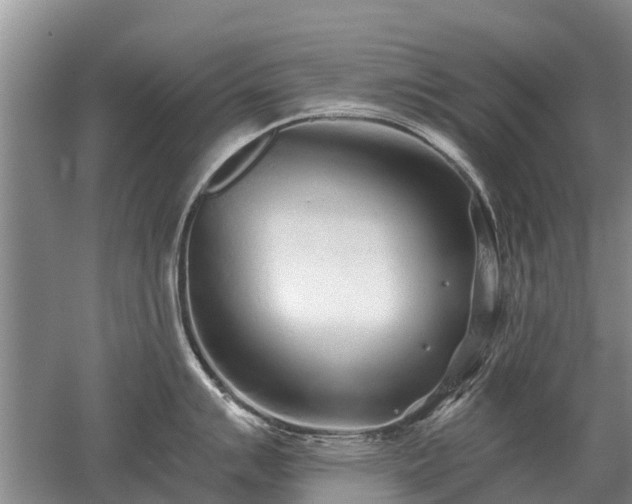 X0000052981007200507151823