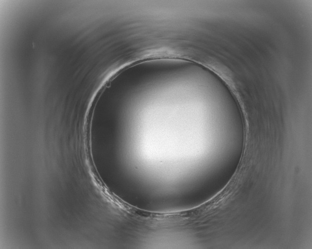 X0000052981008200507151823