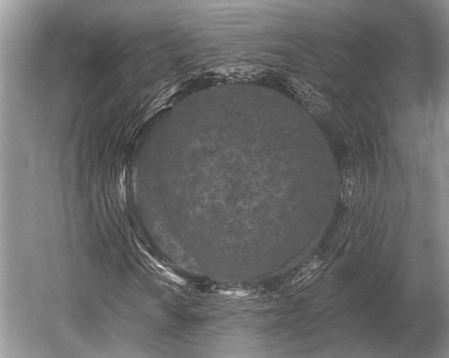 X0000052981010200507151822