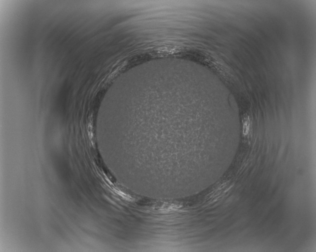 X0000052981011200507151822