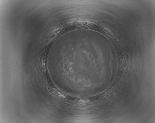 X0000052981013200507151822