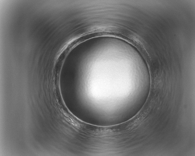 X0000052981019200507151822