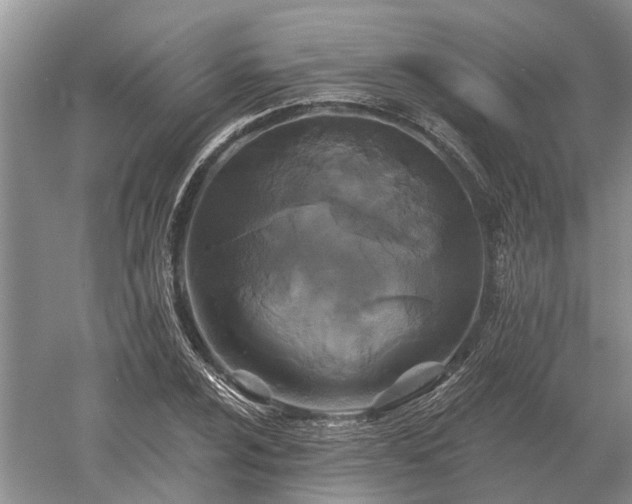 X0000052981024200507151822