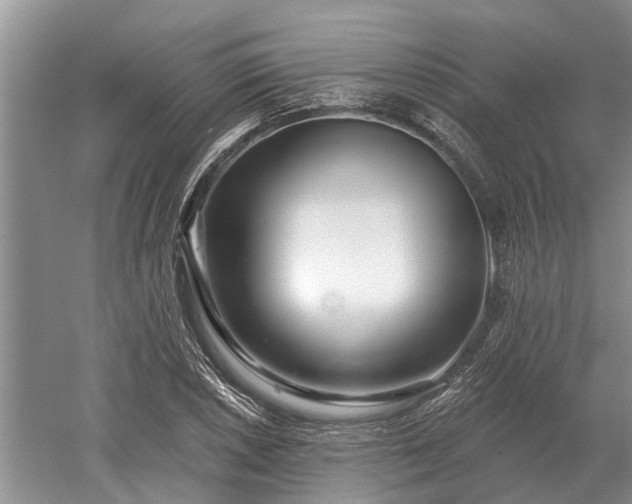 X0000052981026200507151822