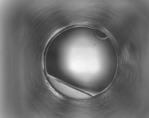 X0000052981036200507151823