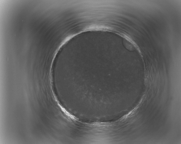 X0000052981037200507151823