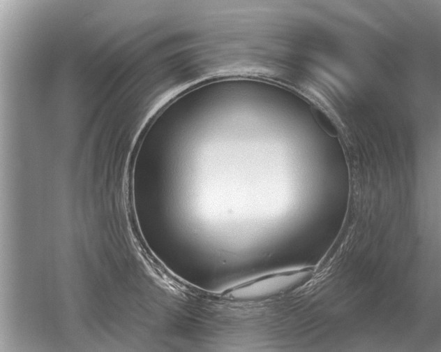 X0000052981044200507151823