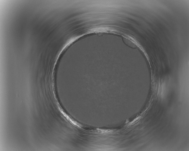 X0000052981045200507151823