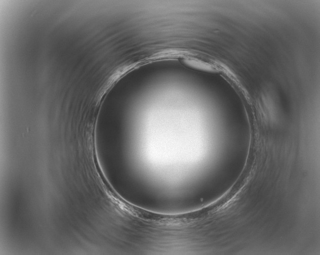 X0000052981049200507151823