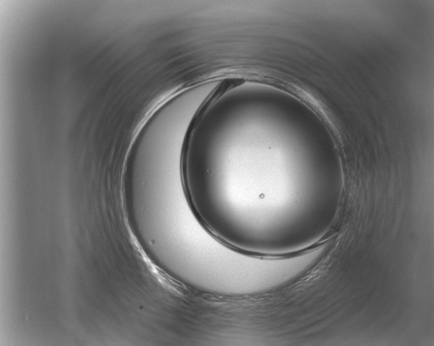 X0000052981050200507151823