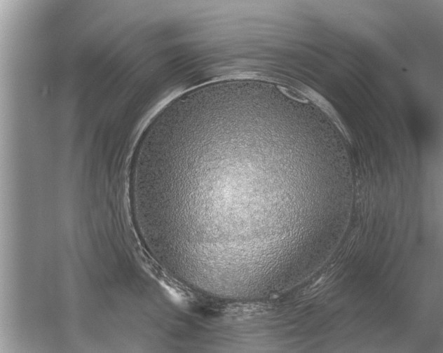 X0000052981051200507151823