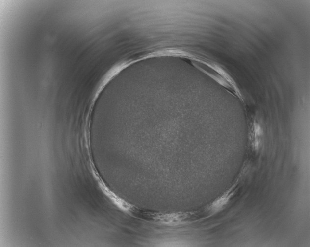 X0000052981054200507151823