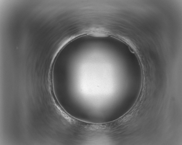 X0000052981056200507151823