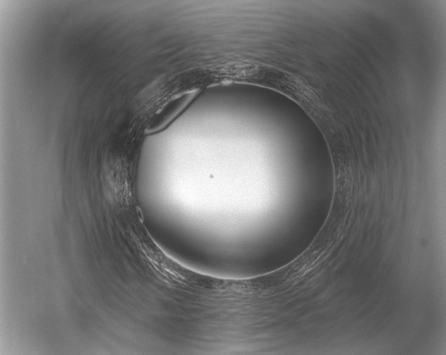 X0000052981058200507151822