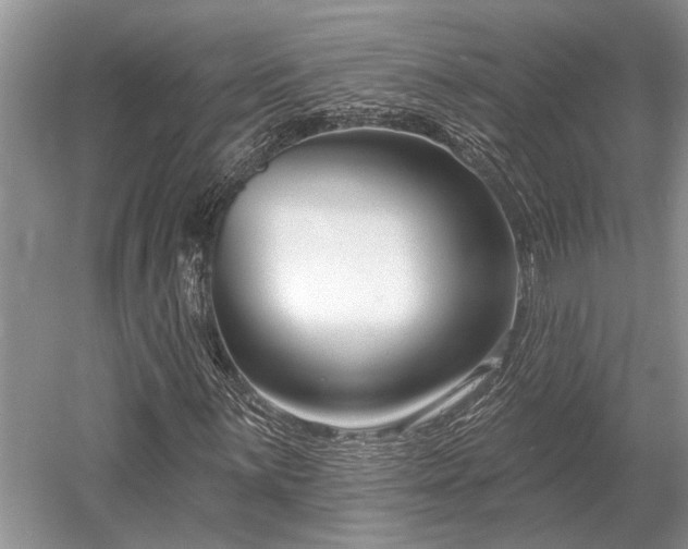 X0000052981059200507151822