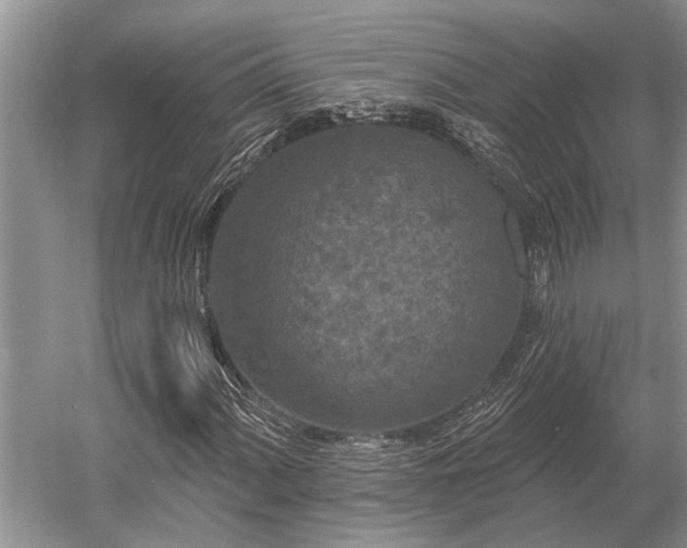 X0000052981060200507151822