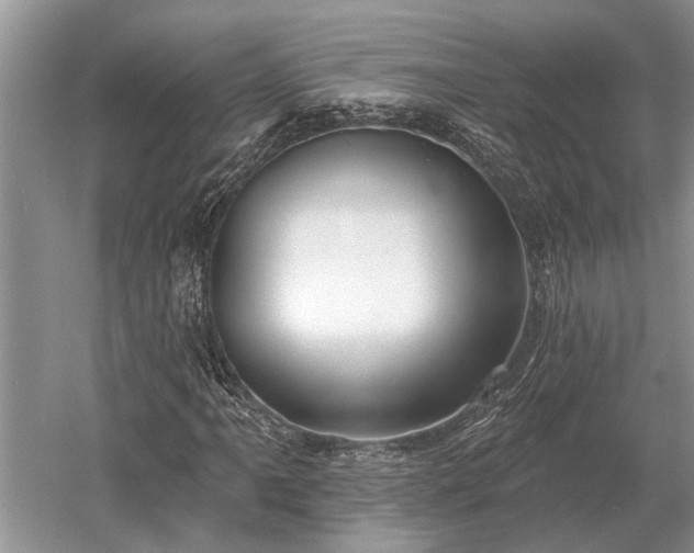 X0000052981061200507151822