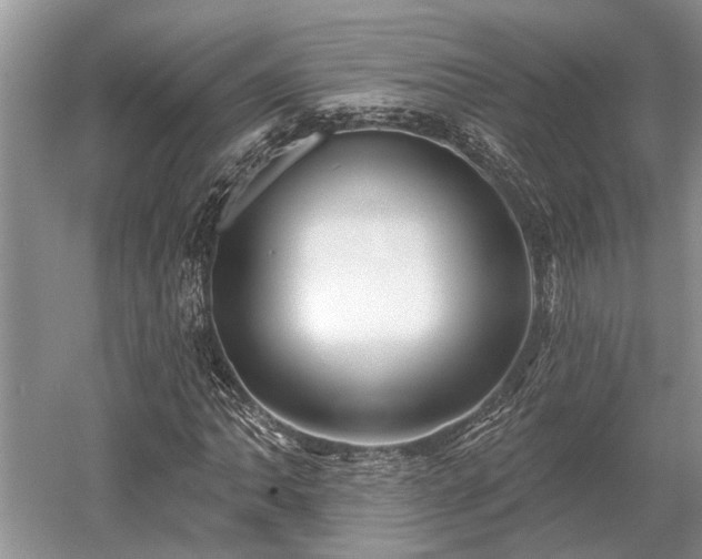 X0000052981062200507151822