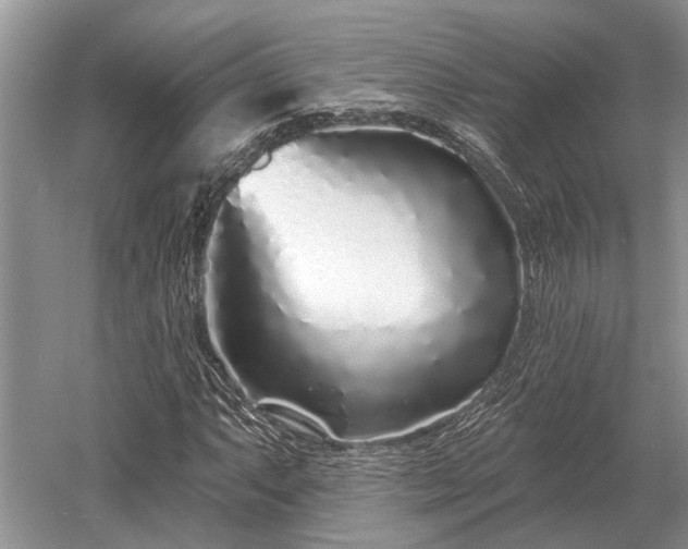 X0000052981063200507151822