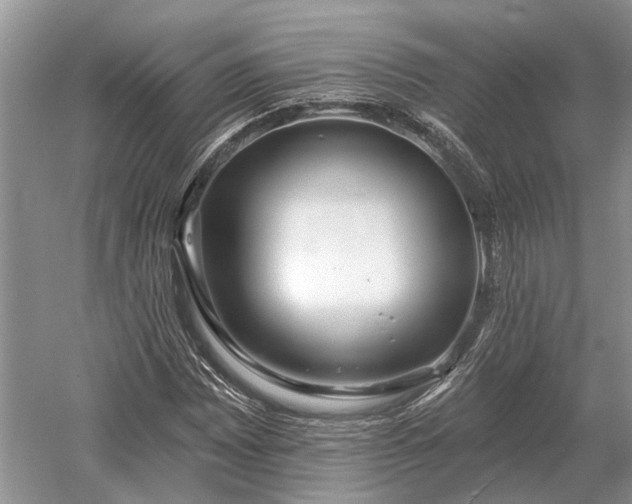 X0000052981065200507151822