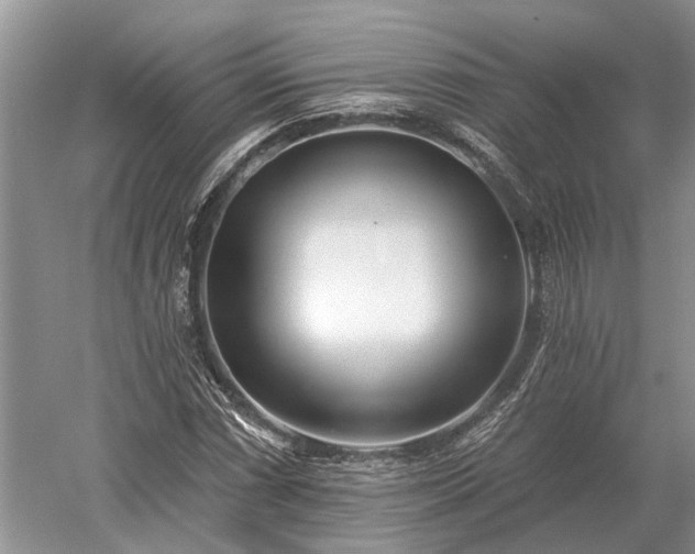 X0000052981066200507151822