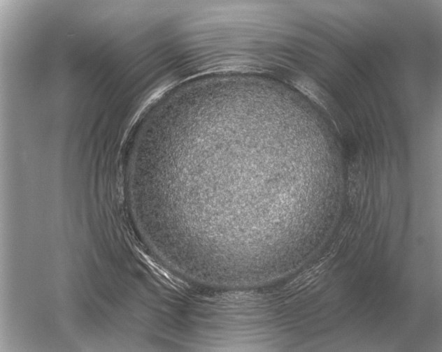 X0000052981067200507151822