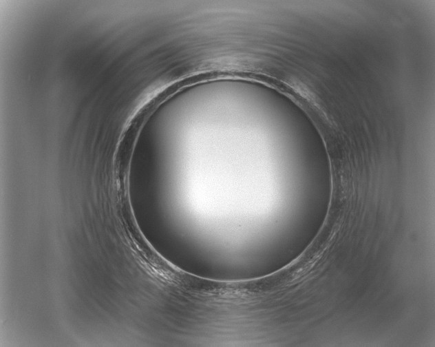 X0000052981070200507151822