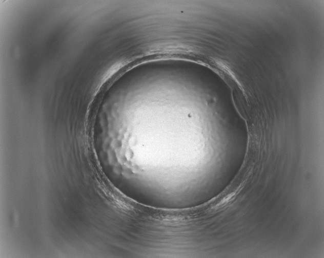 X0000052981071200507151822