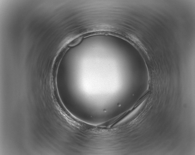 X0000052981072200507151822