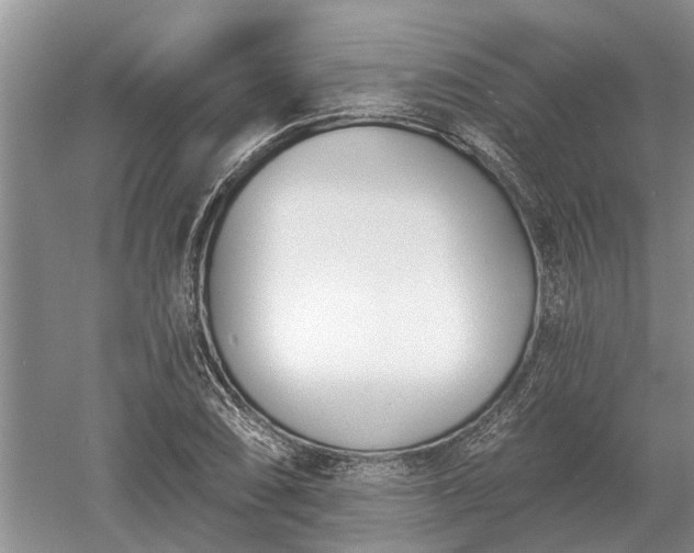 X0000052981074200507151822