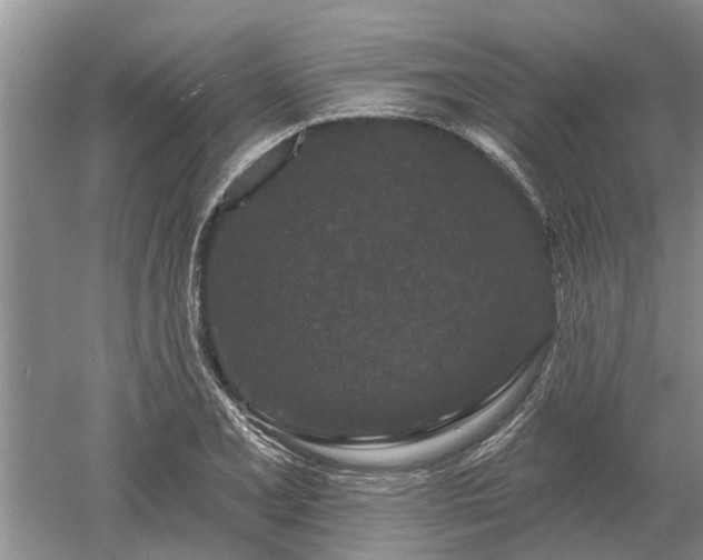 X0000052981077200507151822