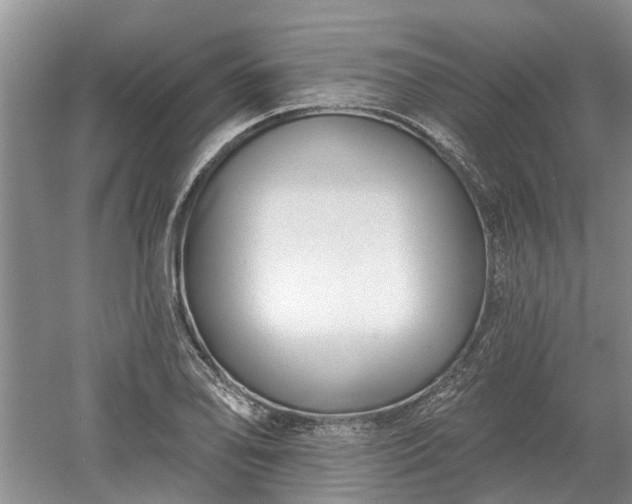 X0000052981078200507151822