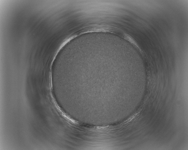 X0000052981079200507151822