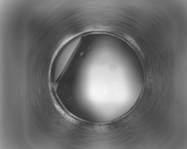 X0000052981080200507151822