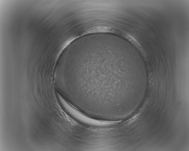 X0000052981081200507151822