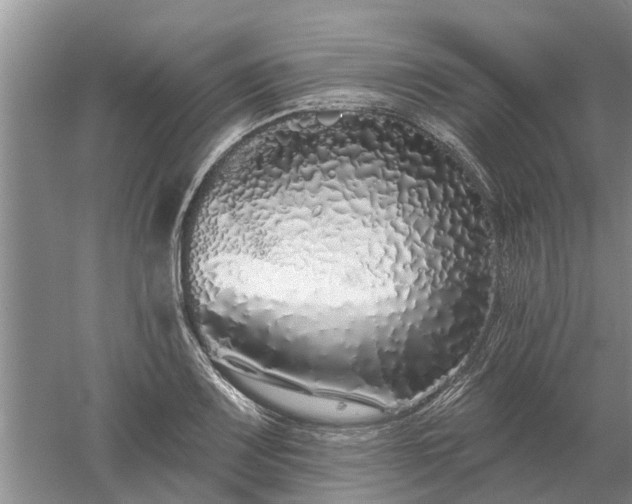 X0000052981083200507151822