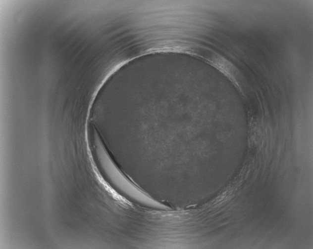 X0000052981084200507151822