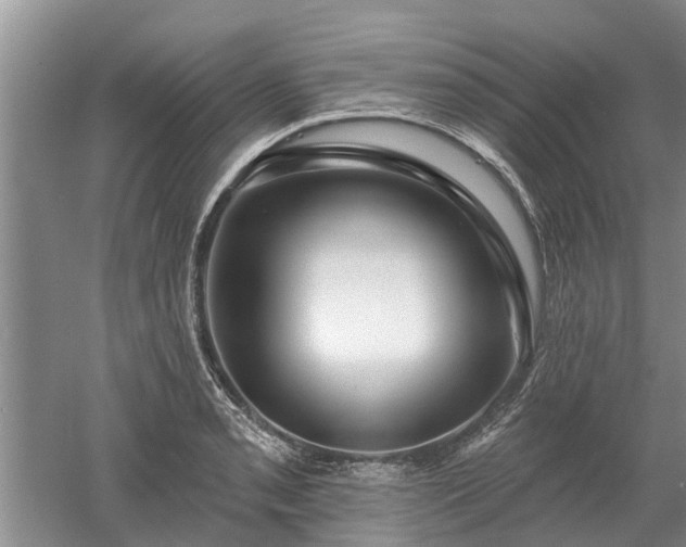 X0000052981085200507151822