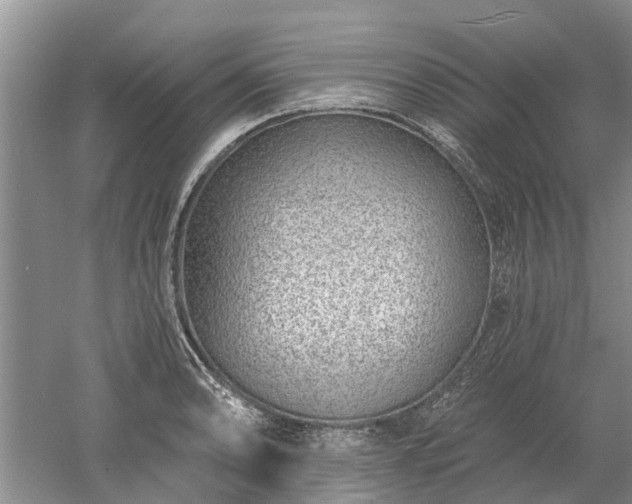 X0000052981086200507151822