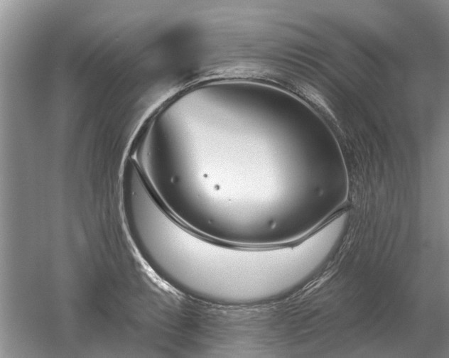 X0000052981087200507151822