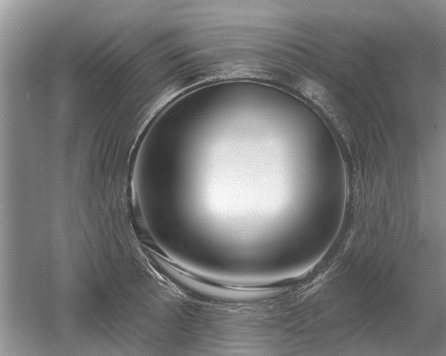 X0000052981089200507151822